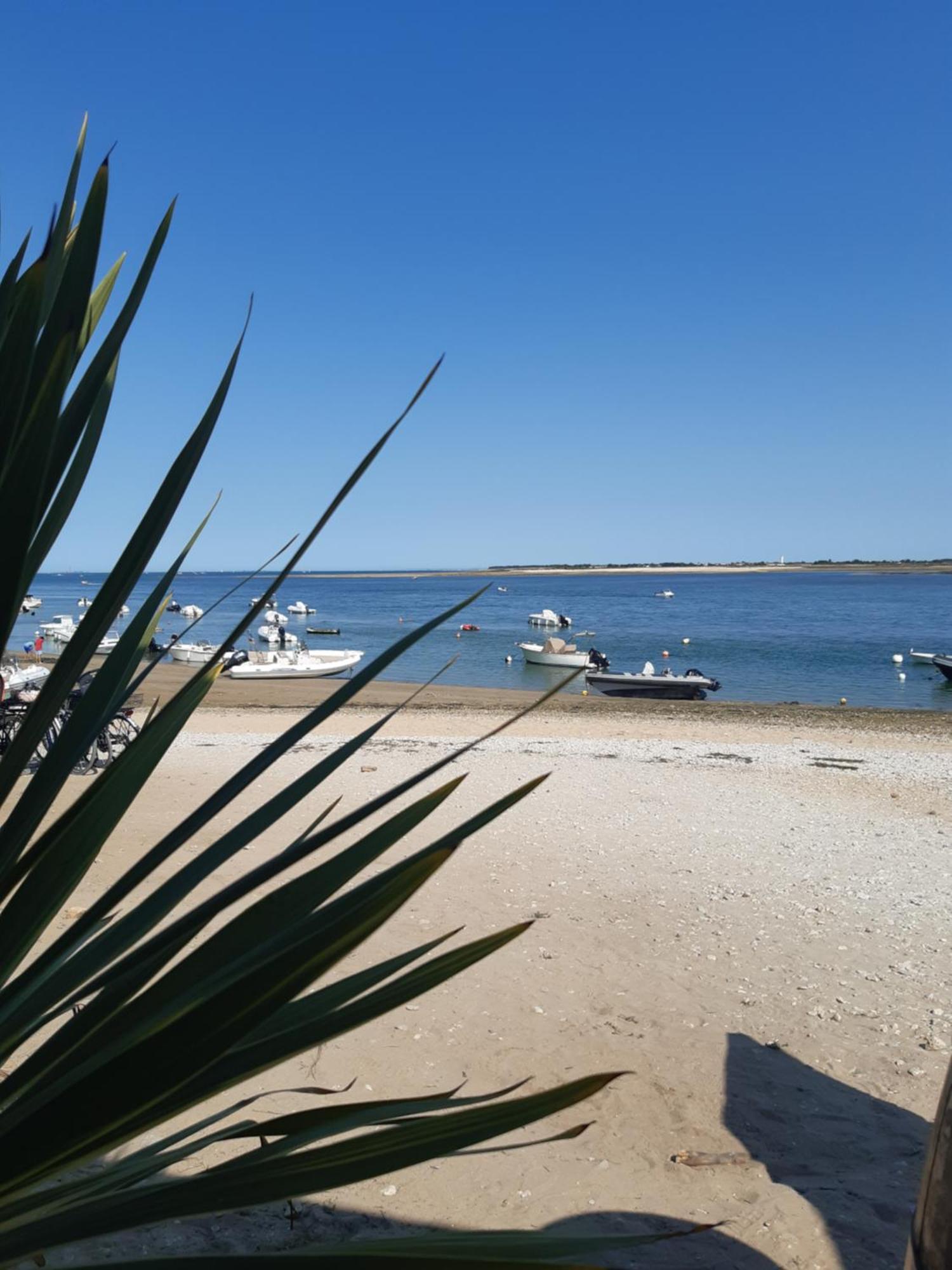 Maison De Vacances Entiere A 10 Mn De La Rochelle Dompierre-sur-Mer Екстер'єр фото