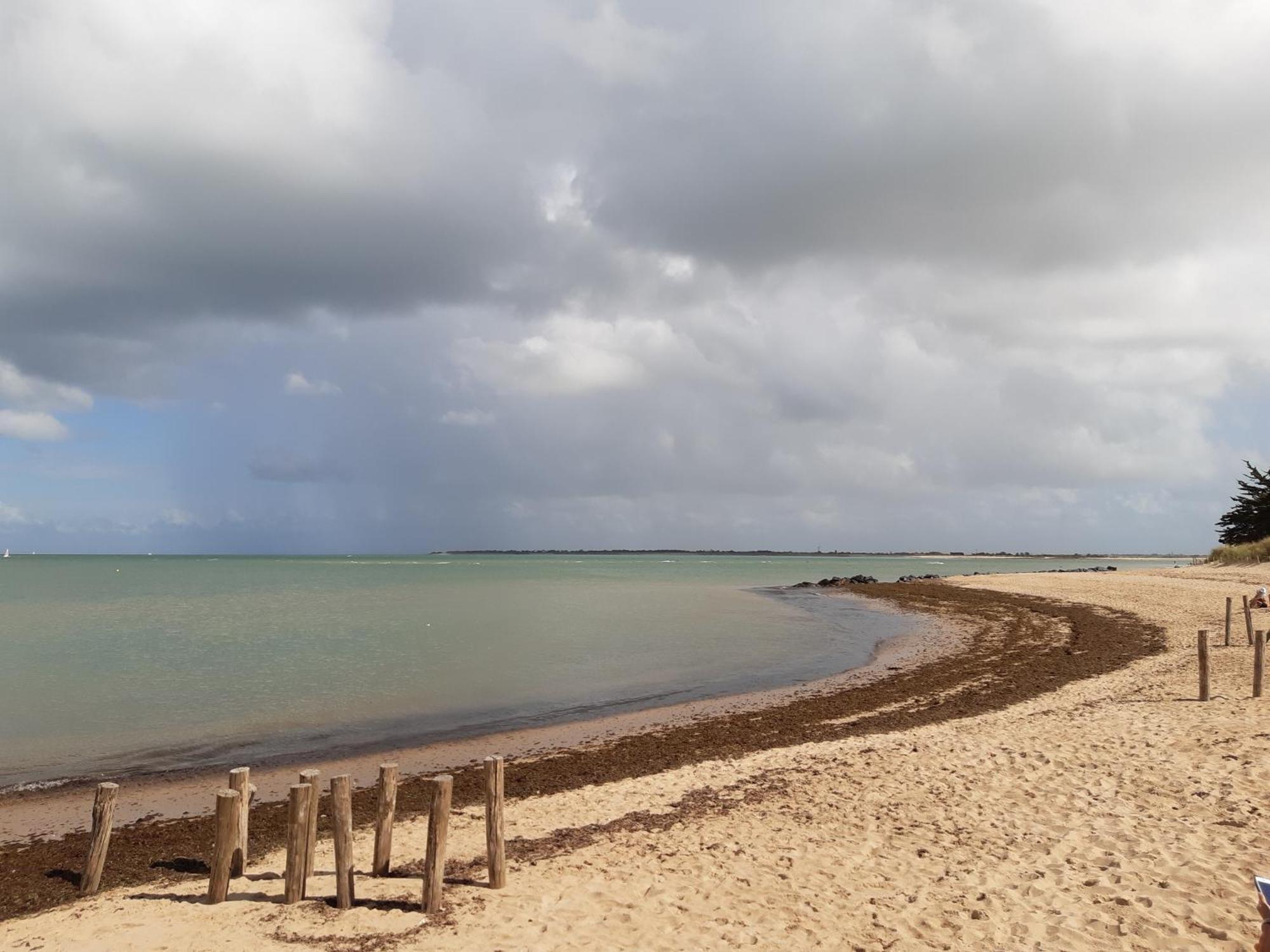 Maison De Vacances Entiere A 10 Mn De La Rochelle Dompierre-sur-Mer Екстер'єр фото